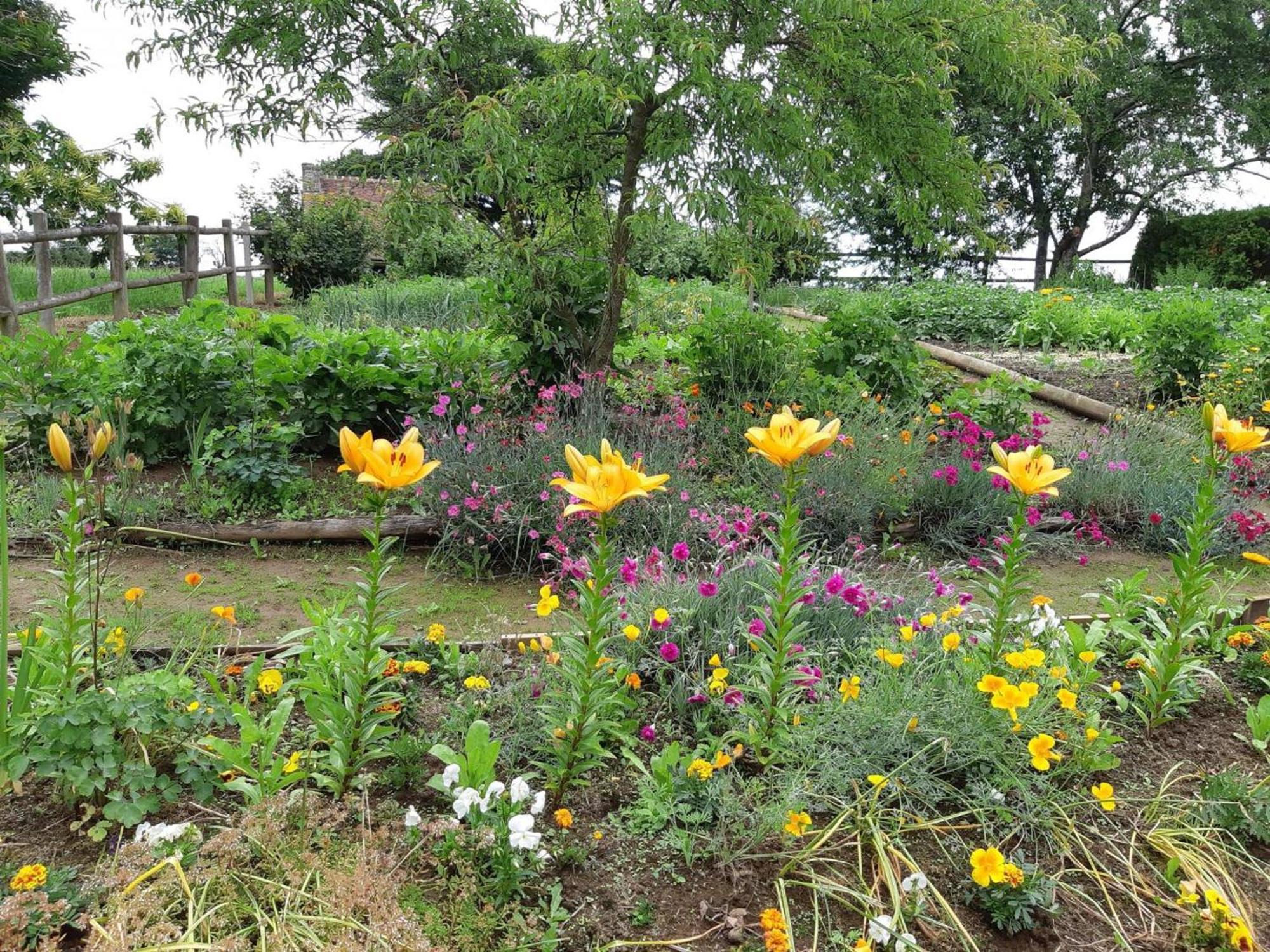 Maison De Charme Avec Jardin, Nature, Cheminee, Wifi, Proche Manoirs Et Rivieres Tortueuses - Fr-1-497-99 Saint-Bomer-les-Forges Eksteriør billede